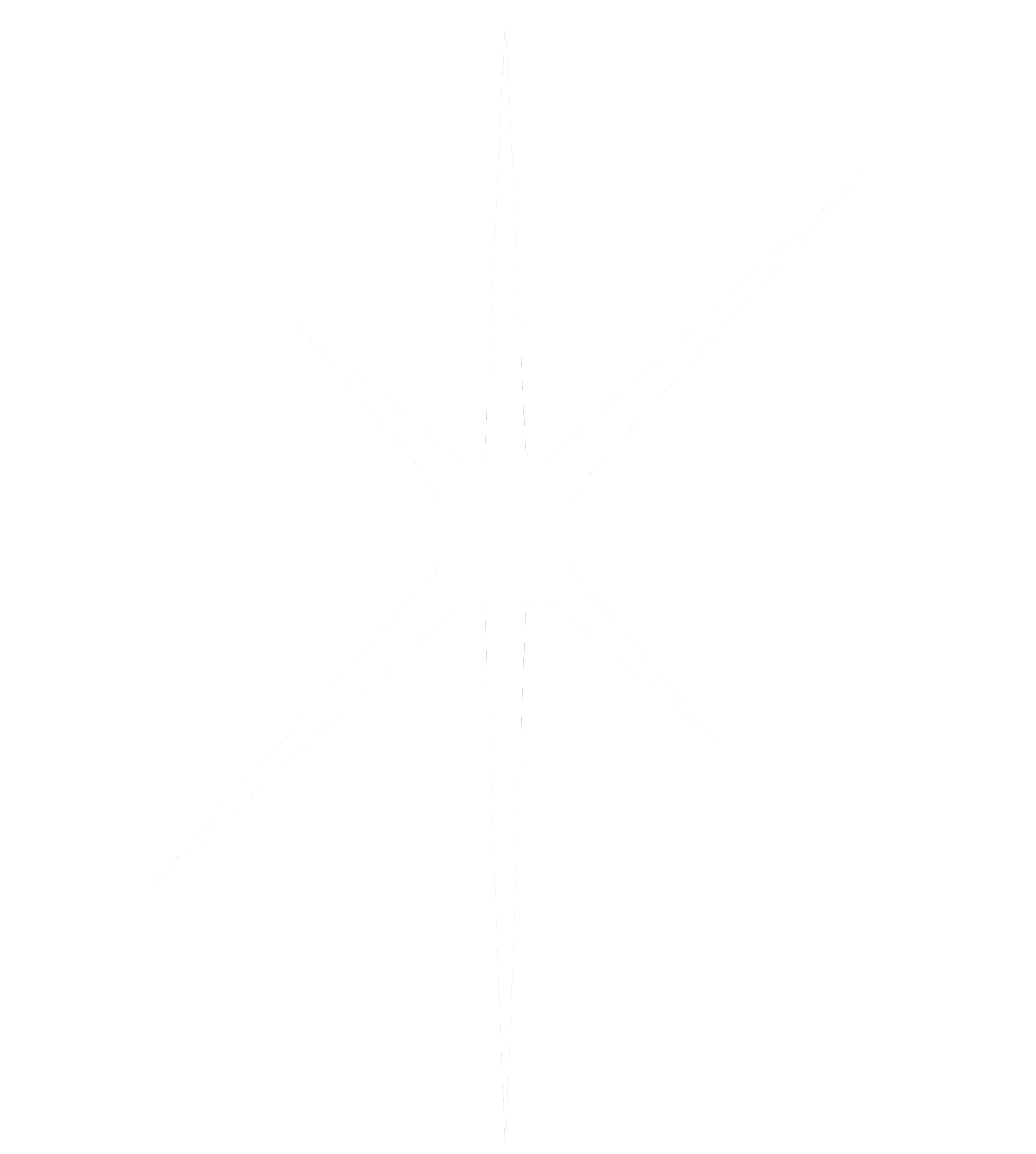 Lebensraum Stern Logo